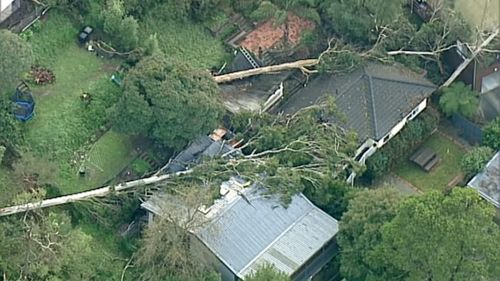 Victorians have been warned of potential for falling and trees, as more wild weather is expected for some parts of the state.