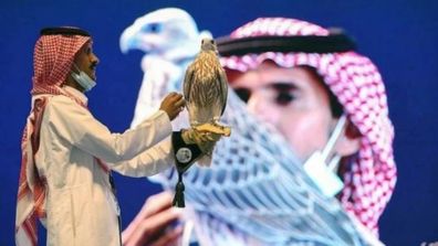 Man spends equivalent of house deposit on falcon to enter it in beauty pageant