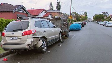 Drunk P-Plate driver allegedly collided with 10 cars that were parked and unattended in the street.