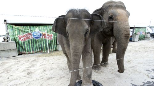 Ringling Bros and Barnum and Bailey Circus to end elephant performances in May