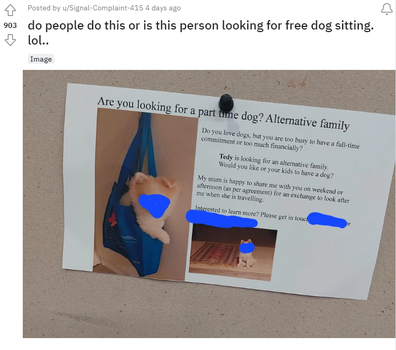dog ad free pet sitting
