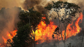 Fires are often set by ranchers to clear shrubs and forest for grazing land in the Amazon basin. 