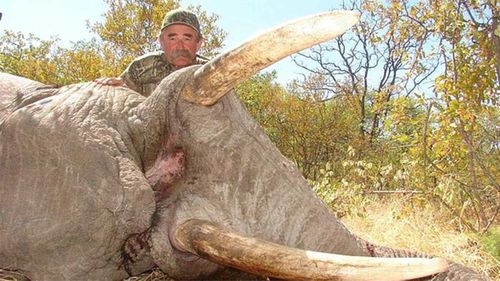 Ernie Dosio è stato calpestato a morte da un branco di elefanti.