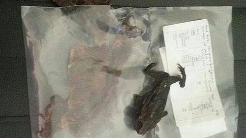 ‘Absolutely putrid’: NT man unwittingly takes bite from dried cane toad found in beef jerky packet