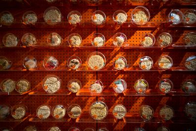 Instant noodles are displayed at the Good Noodle store in Bangkok, Thailand, March 21, 2022.  