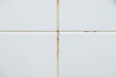 Closeup of the fungus stains on the white grout on the white wall tile in the bathroom, long time to use in the city house, front view with the copy space.