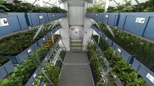 An artist's impression of a hydroponic cultivation area. (NASA)