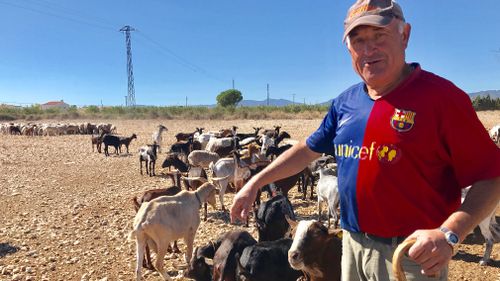 Farmer Fernando is among Catalans who don't support making the region independent. 