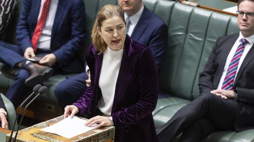Julie Collins speaks in parliament
