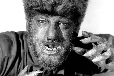 <B>The wolf:</B> Larry (Lon Chaney, Jr) uses a silver-headed walking stick to fend off what he thinks is an ordinary wolf, only to be bitten before he kills it.<br/><br/><B>Scare factor:</B> He probably looked scary in the 40s, but the last 70 years haven't done him any favours &#151; he looks like someone's uncle after a few days without a shave. Benicio did it better in the 2010 remake.