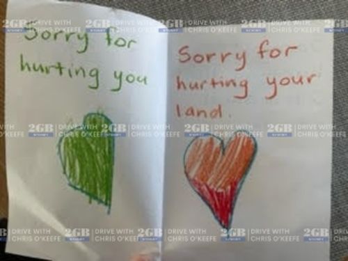 Cards drawn by preschool children about Sorry Day.