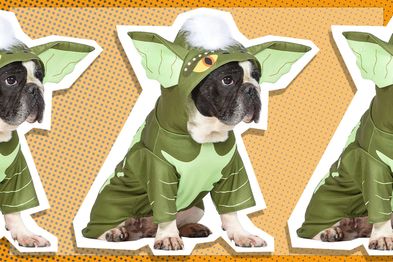 9PR: Warner Bros Horror WB: Gremlins Halloween Costume for Dogs