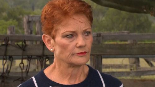 Pauline Hanson has accepted Steve Dickson's resignation after a strip club scandal.