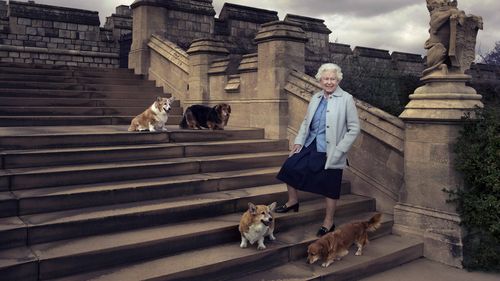 https%3A%2F%2Fprod.static9.net Queen's corgis to live with Prince Andrew, Sarah Ferguson
