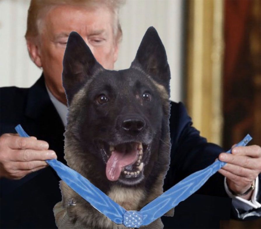Donald Trump gives the Medal of Honor to Conan in a doctored image.