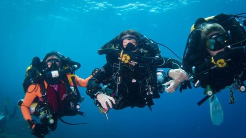 Dr Fiona Sharp diving 4