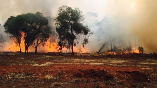 UPDATE: Bushfire threat downgraded in Western Australia