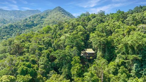 Rainforest property house Domain unusual