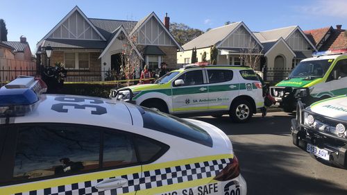 The boy was shot through the window of the Lockleys home.