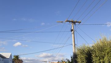 Telegraph Pole with Cable Lines in a Australian suburb.