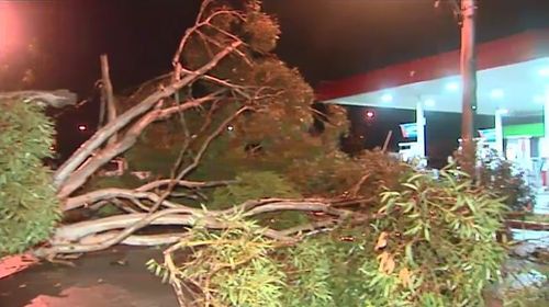 Exposed coastal areas saw the worst of the wind, which has now passed. Picture: 9NEWS.