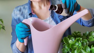 Woman mixing fertiliser into watering can