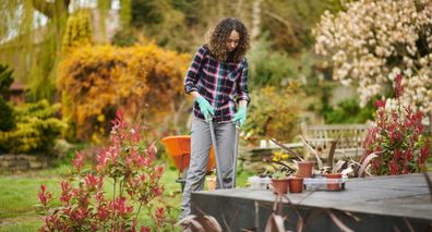 female gardener trimming the border