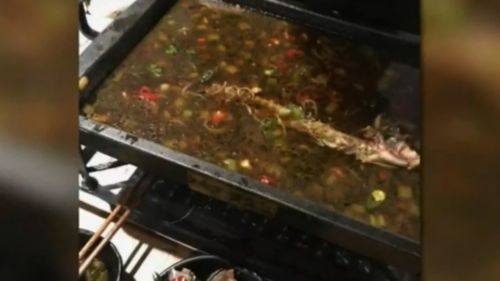 The $24 barramundi dish which sparked the fight. (9NEWS)