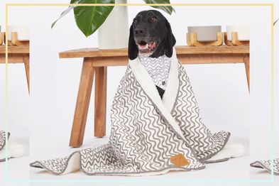 9PR: Mog & Bone Dog Fleece Pet Blanket, Mocha Wave