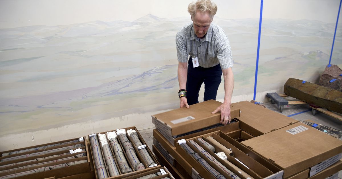 A US dino museum makes a find deep under own parking lot