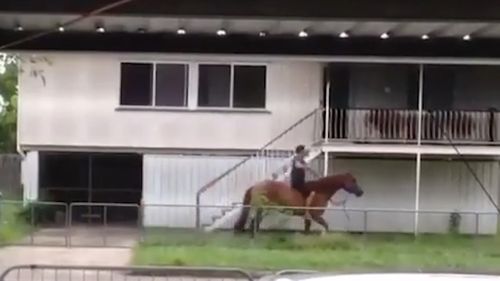 Residents later filmed the man riding the horse around his front yard in the next street. (9NEWS)