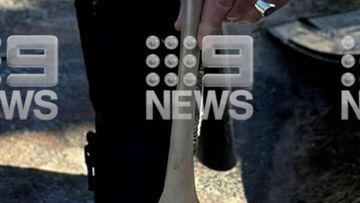 Human bone found at Belongil Beach in Byron Bay