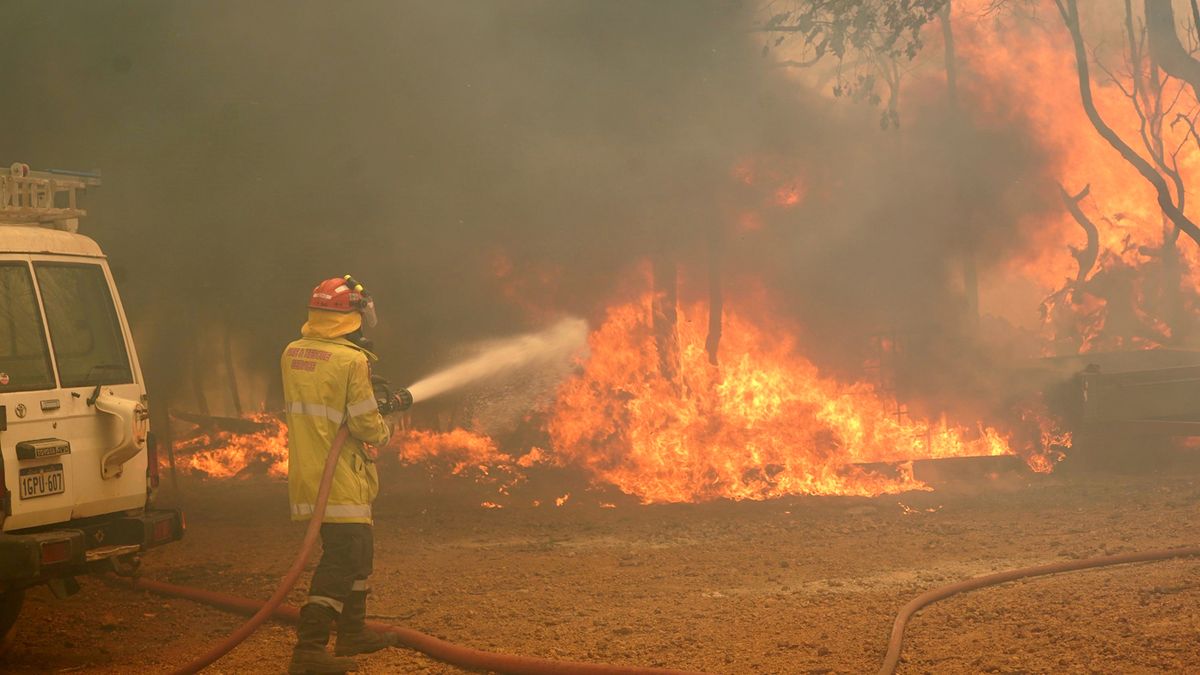 Масштабні лісові пожежі накрили Австралію: згоріли тисячі гектарів лісу