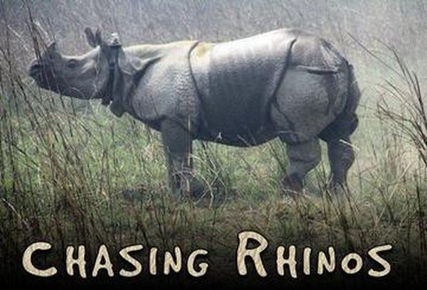 Chasing Rhinos