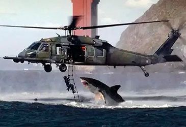 Which body was compelled to deny Helicopter Shark was its photo of the year when the image and claim went viral in 2001?