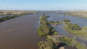 The River Murray is already swollen and expected to rise further prompting the South Australian premier to declare a &#x27;major emergency&#x27;.