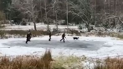 Prince Frederik and Princess Mary's kids playing an impromptu game of ice hockey