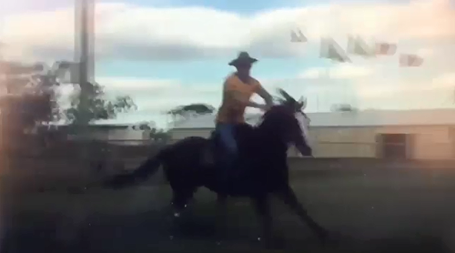 Police have arrested a man who allegedly knocked over a woman while he was riding a horse at an anti-Adani protest in central Queensland on the weekend.