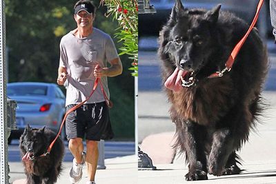 Now here's a dogaholic for you. Jerry's pictured here going for a run with his furry friend, Bim. The actor also has two other dogs, Taco and Better and when he married Rebecca Romijin, the dogs all got dressed up in bow ties for the big day. Riiight.