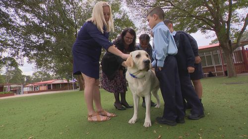 Therapy dog permanently employed at western Sydney school to help ease return to school anxiety.