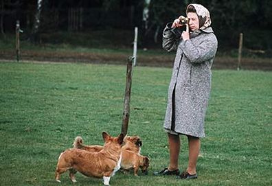 Elizabeth II and corgis