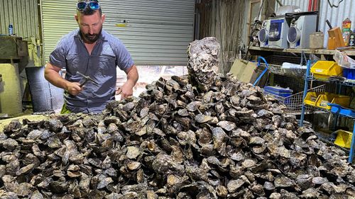 Uncle Ray is the record-breaking oyster found on the NSW south coast.