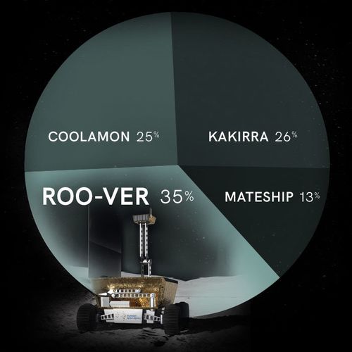 A snapshot of the votes collected from Australians to name the moon rover.