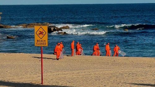 Coogee Beach - Figure 1