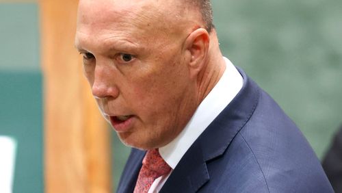 Peter Dutton has angrily denied claims by former foreign minister Bob Carr that he was the cabinet minister who leaked a series of text messages about Prime Minister Scott Morrison.