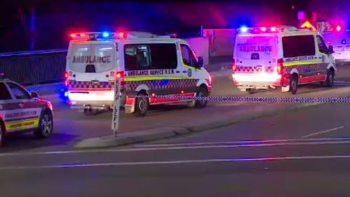 Emergency services have taken a father and son in a critical condition to Westmead Hospital. (9NEWS) 