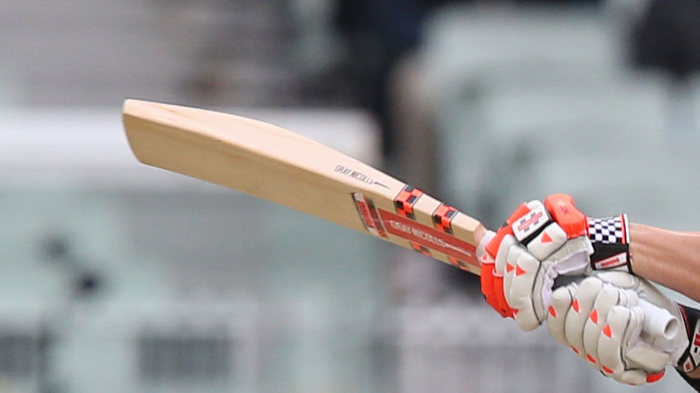 David Warner uses one of the thickest bats in international cricket. (AAP)