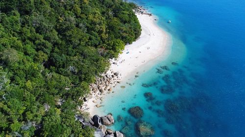 (Fitzroy Island Resort)