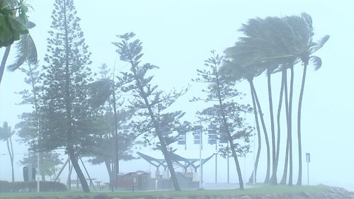 Northeast Queensland residents are warned to be prepared to evacuate as dangerous flooding, damaging winds and more than 600mm of rainfall is forecast over the region.