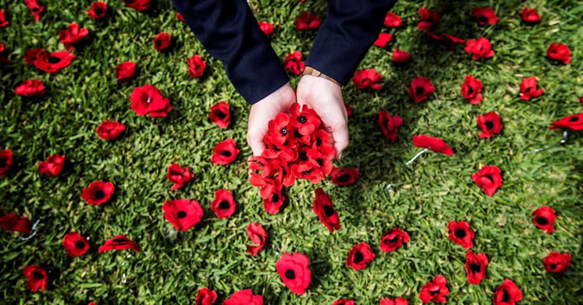 Remembrance Day 2024 What you need to know as Australia pauses to reflect